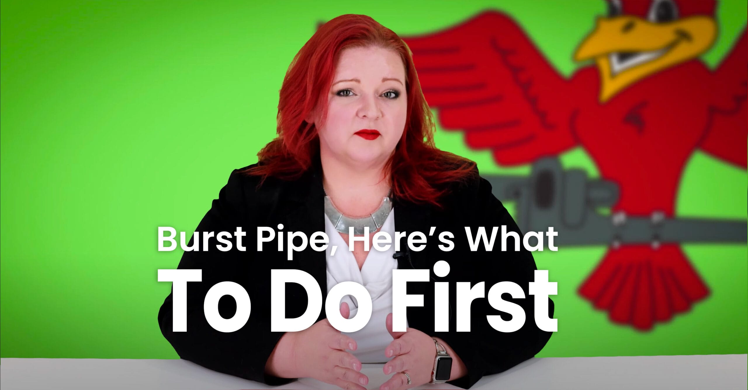 The thumbnail for Robins Plumbing blog titled "burst pipe heres what to do first" written by Robins Plumbing owner Stephanie Robins.