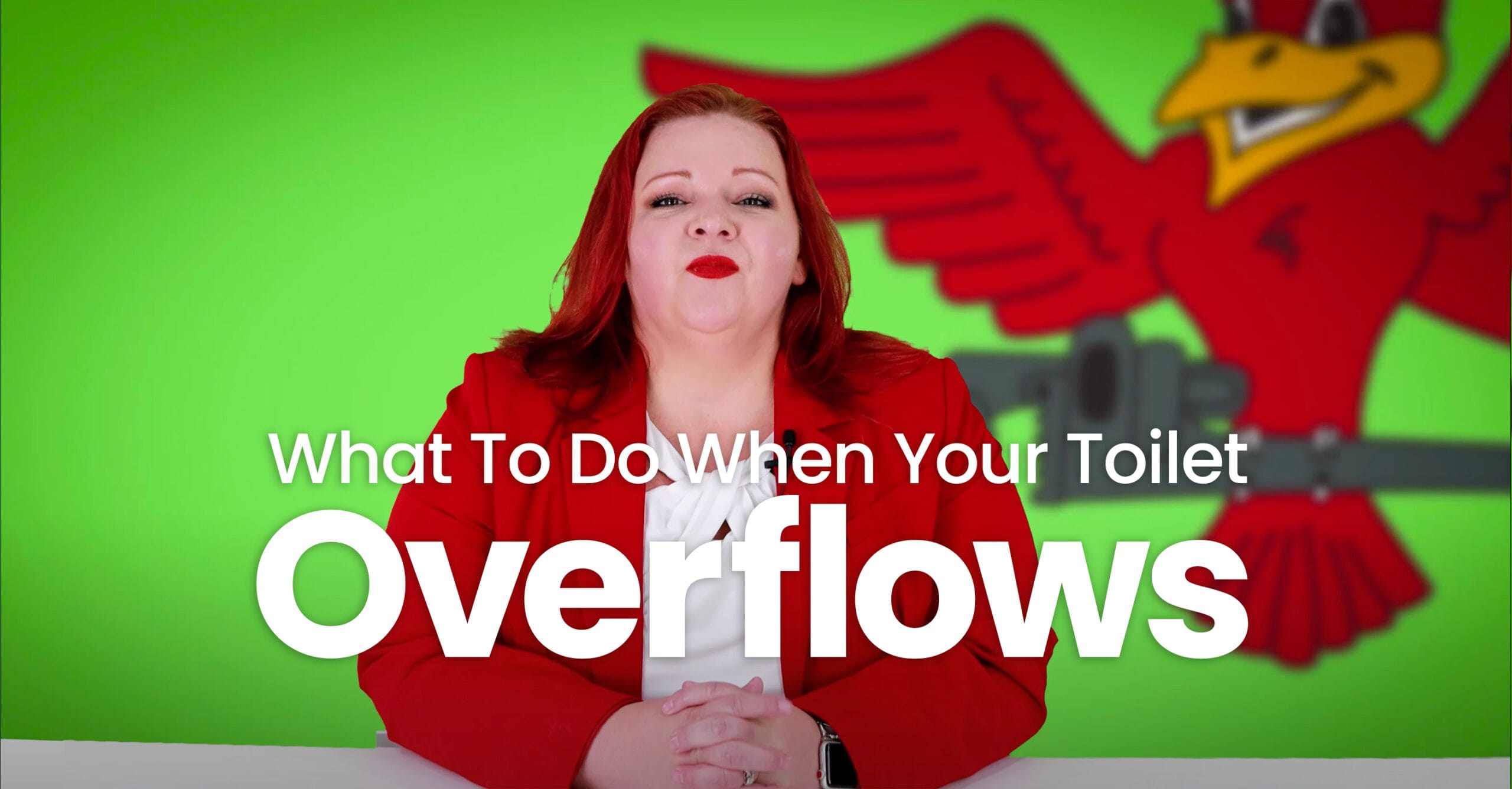 The thumbnail for Robins Plumbing blog titled "What to do when your toilet overflows" written by Robins Plumbing owner Stephanie Robins.