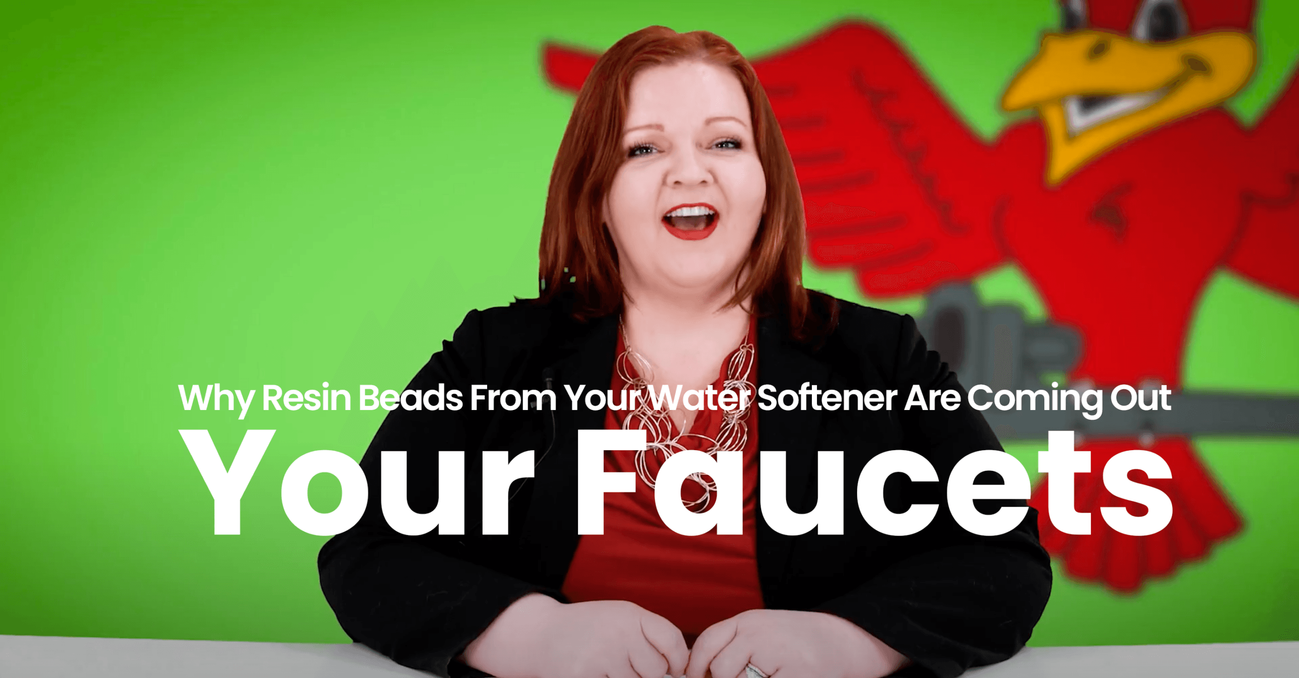 The thumbnail for Robins Plumbing blog titled "Why resin beads from your water softener are coming out of your faucets" written by Robins Plumbing owner Stephanie Robins.