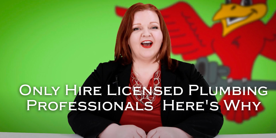 Stephanie Robins, owner of plumbing company Robins Plumbing with featured blog titled 'Only-Hire-Licensed-Plumbing-Professionals-Here's-Why'