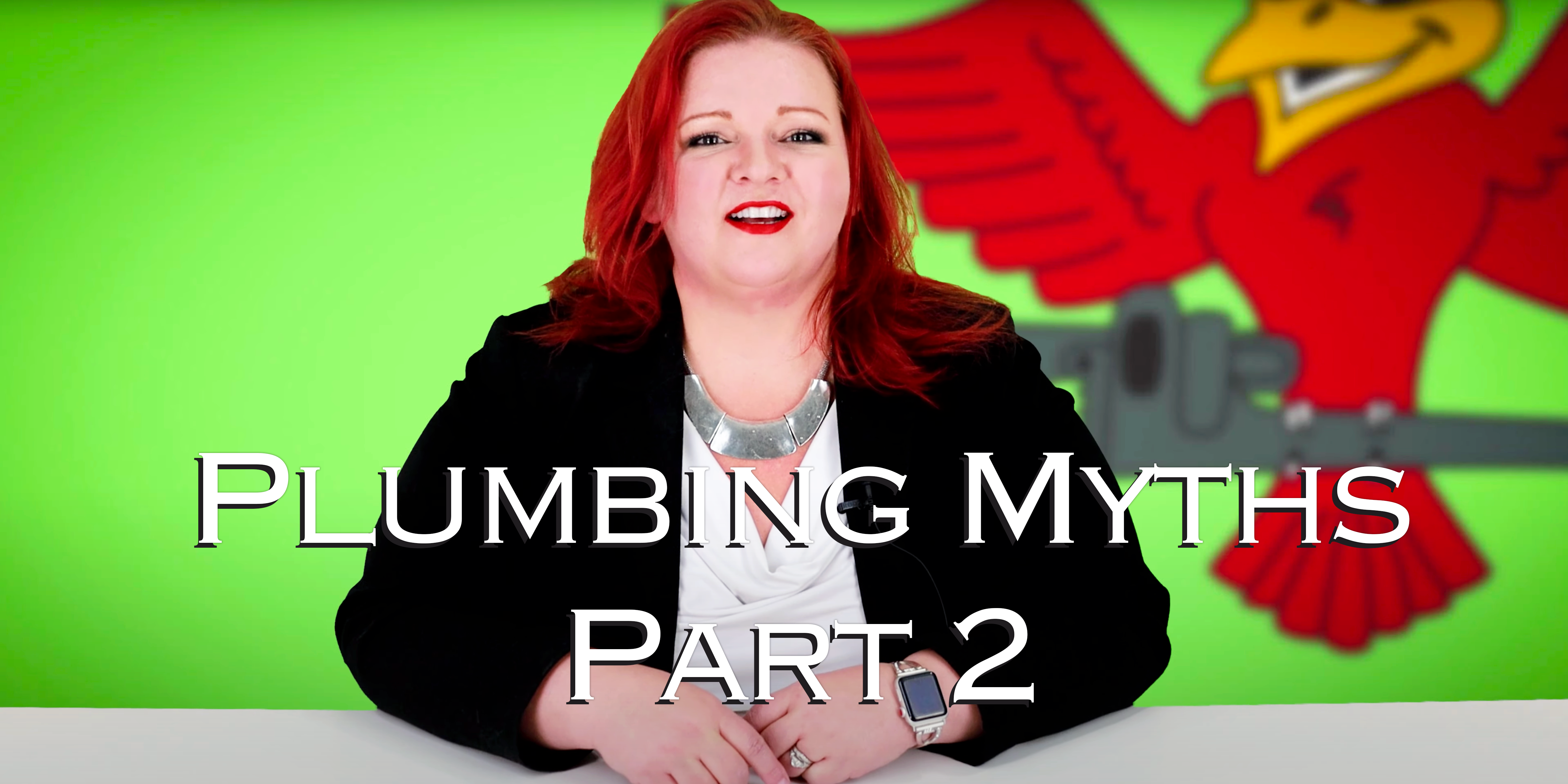 Featured image for the blog "plumbing-Myths-Part-2"