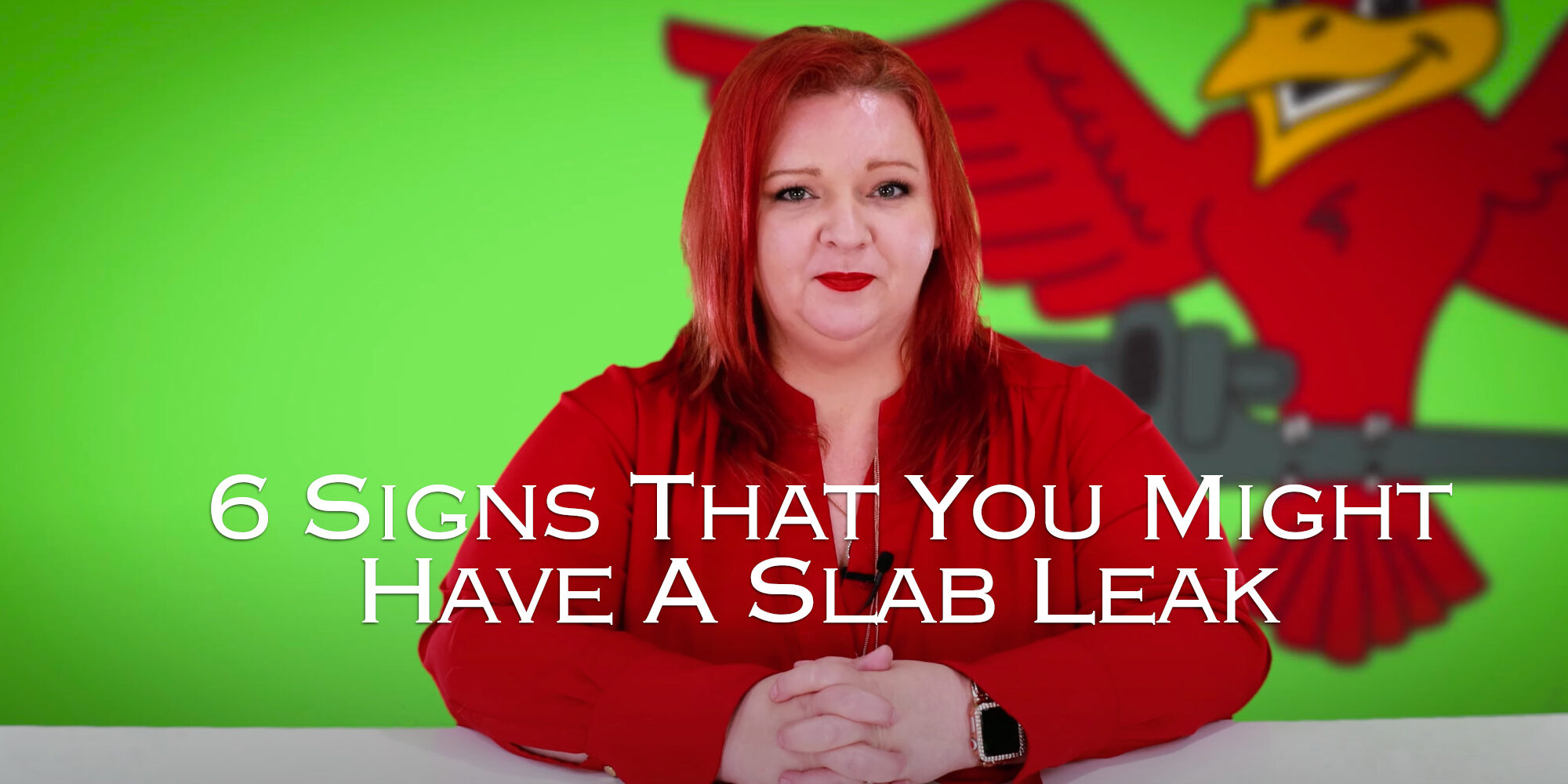The owner of Robins Plumbing, Stephanie Robins featuring her blog titled '6 Signs That You Might Have A Slab Leak'