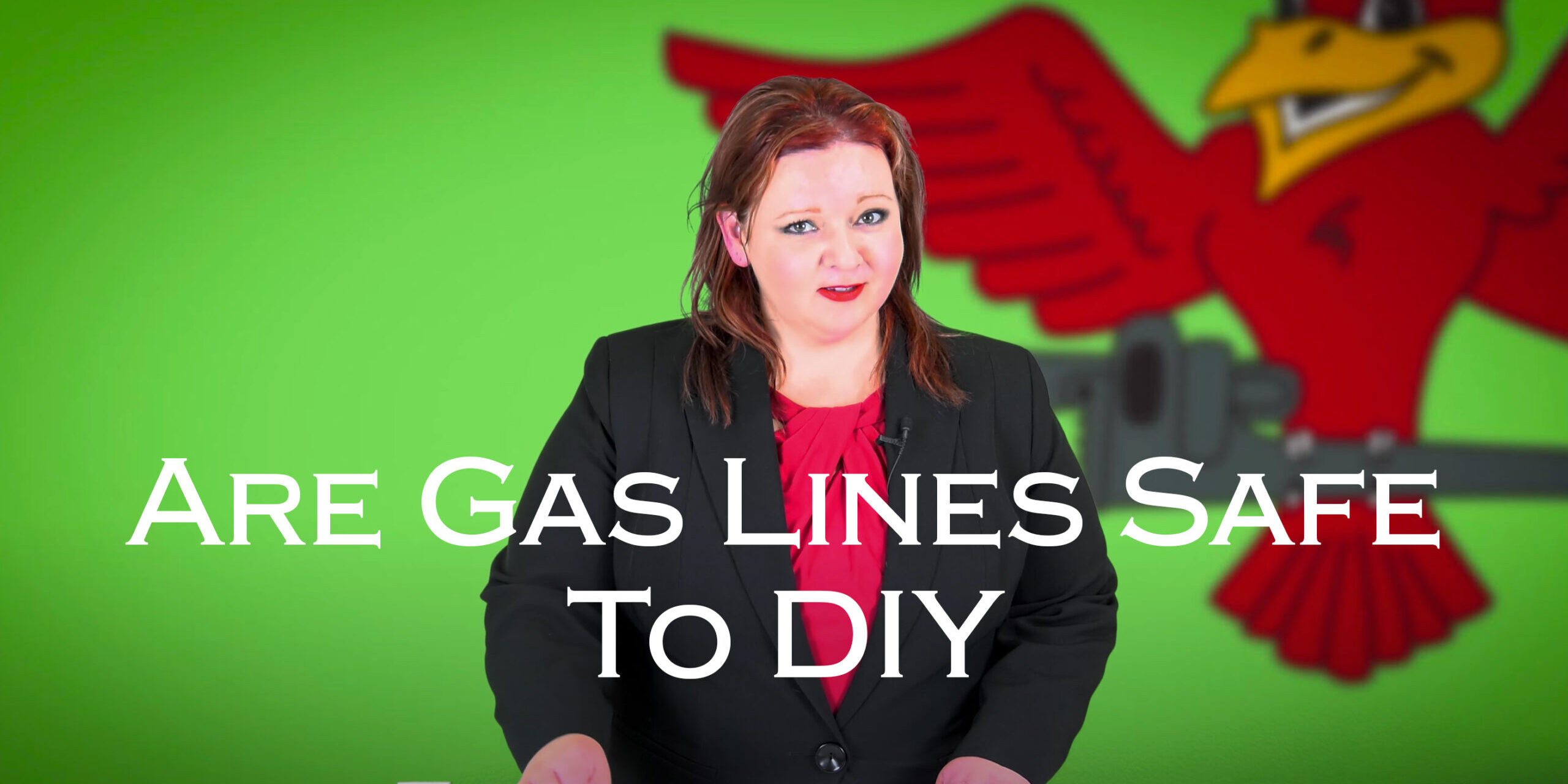 Robins Plumbing featured image for the blog titled "Are-Gas-Lines-Safe-To-DIY"