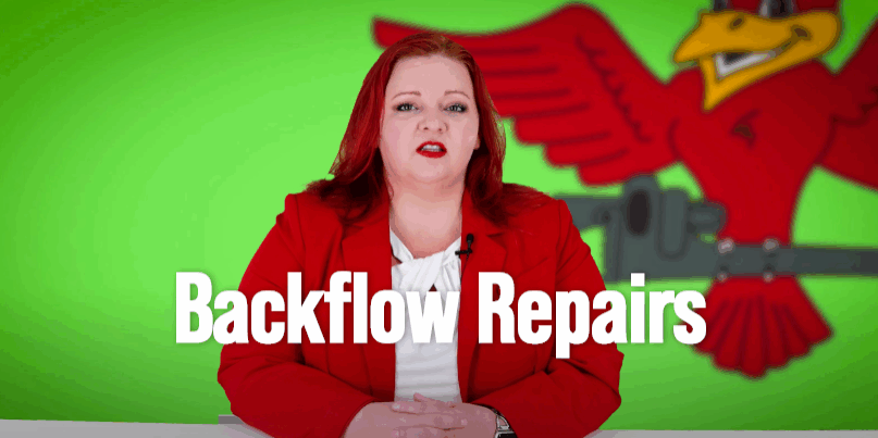 The thumbnail for Robins Plumbing blog titled backflow repairs written by Stephanie Robins.