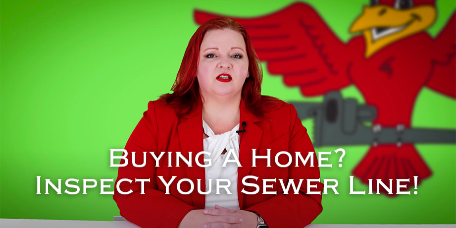 Owner of Robins Plumbing Stephanie Robins, with featured blog titled Buying A Home? Inspect Your Sewer!