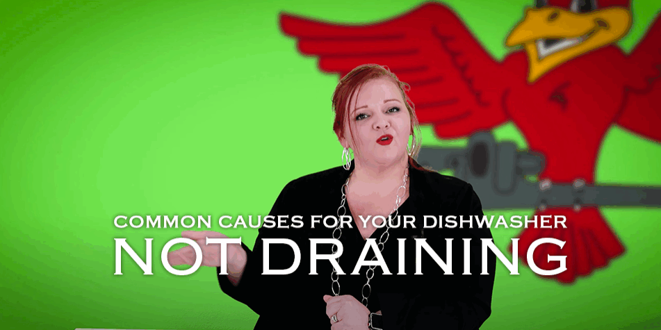 The thumbnail for Robins Plumbing blog written by the owner of Robins Plumbing, Stephanie Robins titled "common causes for your dishwasher not draining"