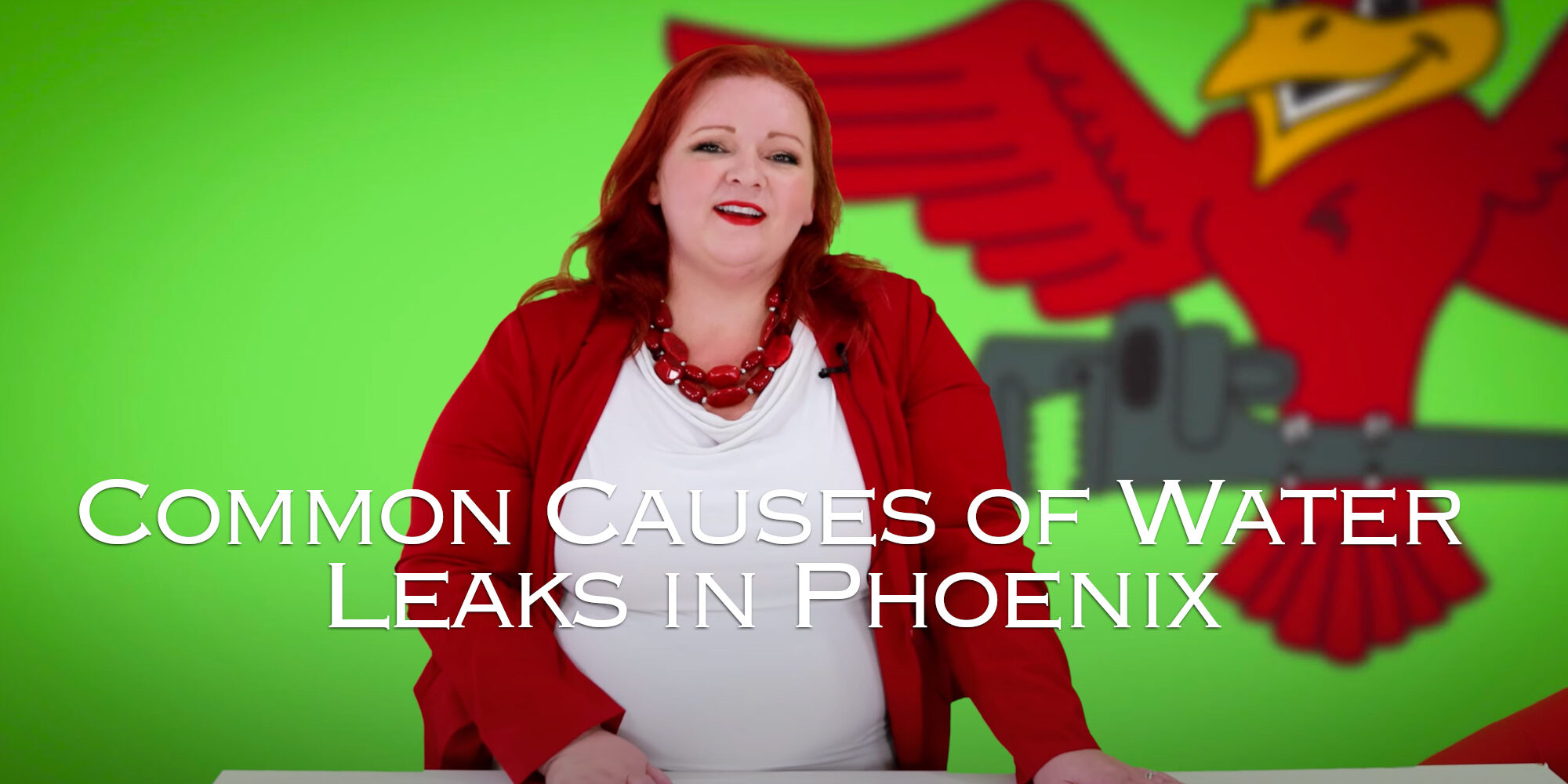 Stephanie Robins, owner of Robins Plumbing with featured blog titled 'Common Causes Of Water Leaks In Phoenix'