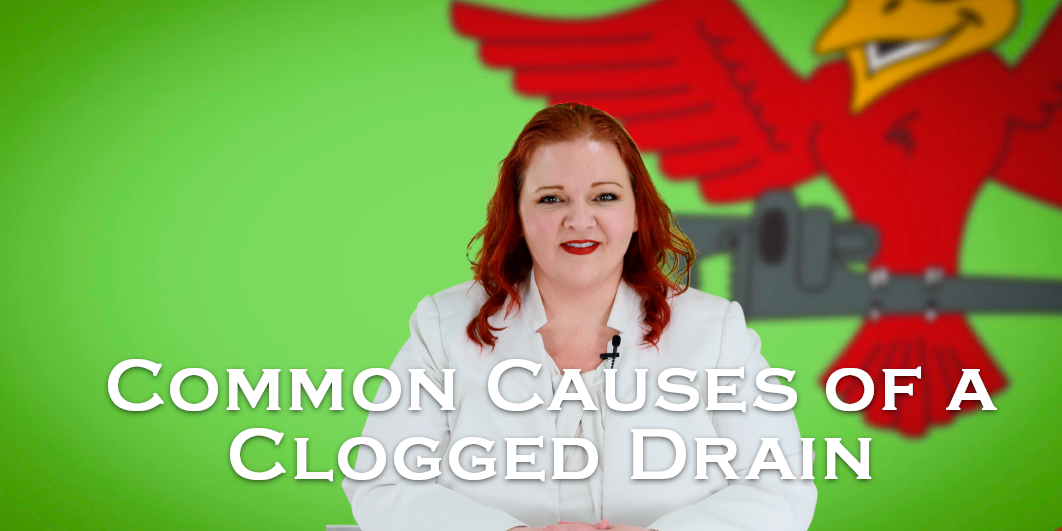 Owner of Robins Plumbing, Stephanie Robins, with featured blog titled Common Causes of a clogged drain