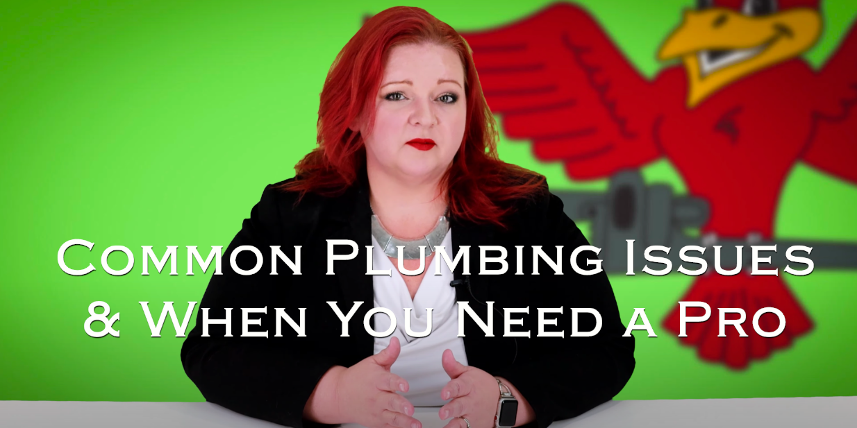 Stephanie Robins, owner of Robins Plumbing with featured blog titled 'Common plumbing issues when you need a pro'