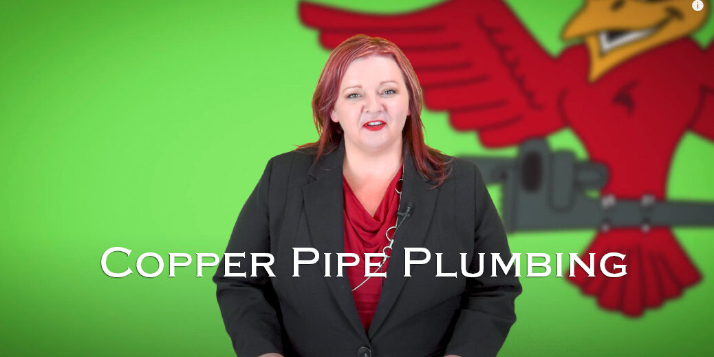 Stephanie Robins, the owner of Robins Plumbing with titled blog copper pipe plumbing.