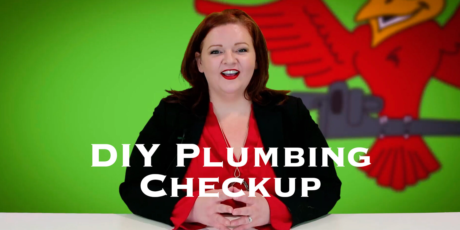 Cover photo for blog and video "DIY Plumbing Checkup"