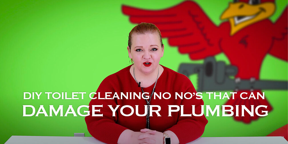 The thumbnail for Robins Plumbing blog titled DIY toilet cleaning no no's that can damage your plumbing written by Stephanie Robins.