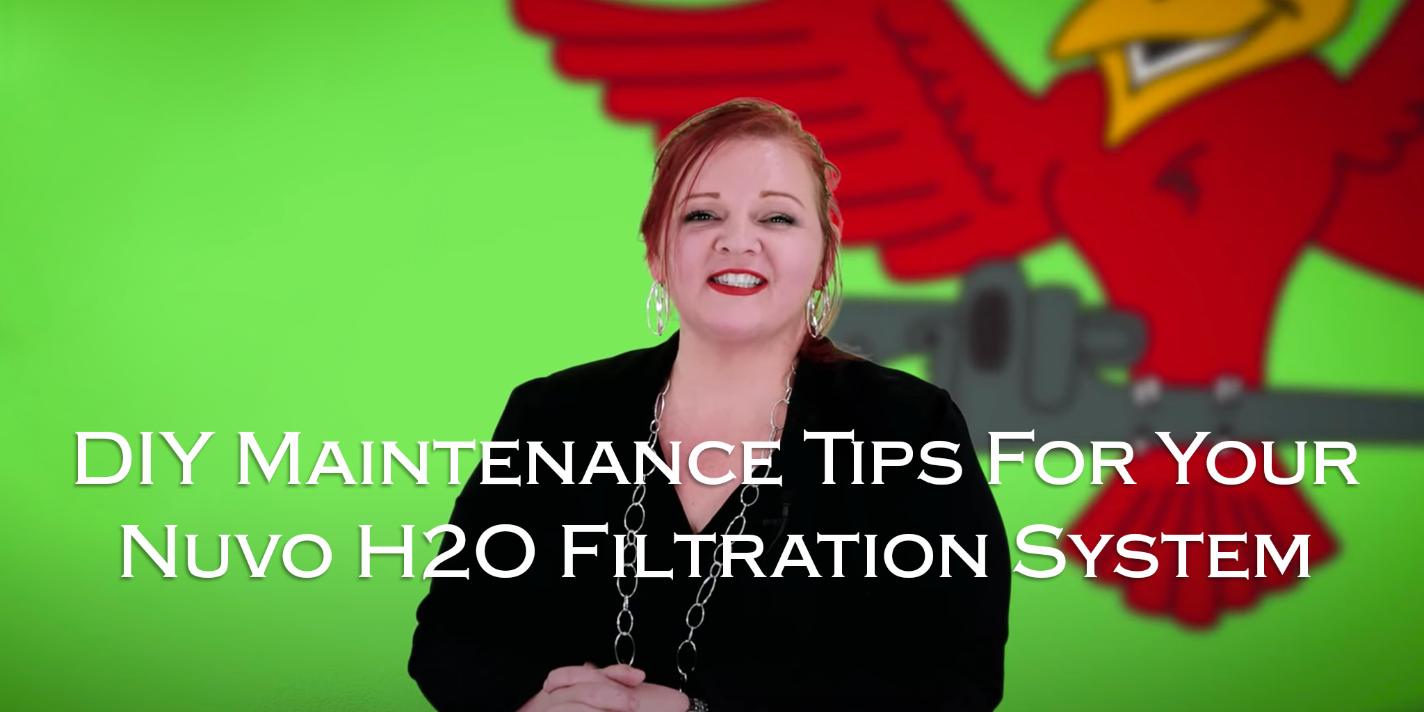 DIY-maintenance-tips-for-your-nuvo-h2o-filtration-system