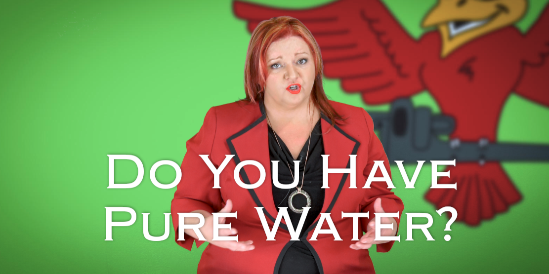 Robins Plumbing owner, Stephanie Robins featuring titled blog do you have pure water?
