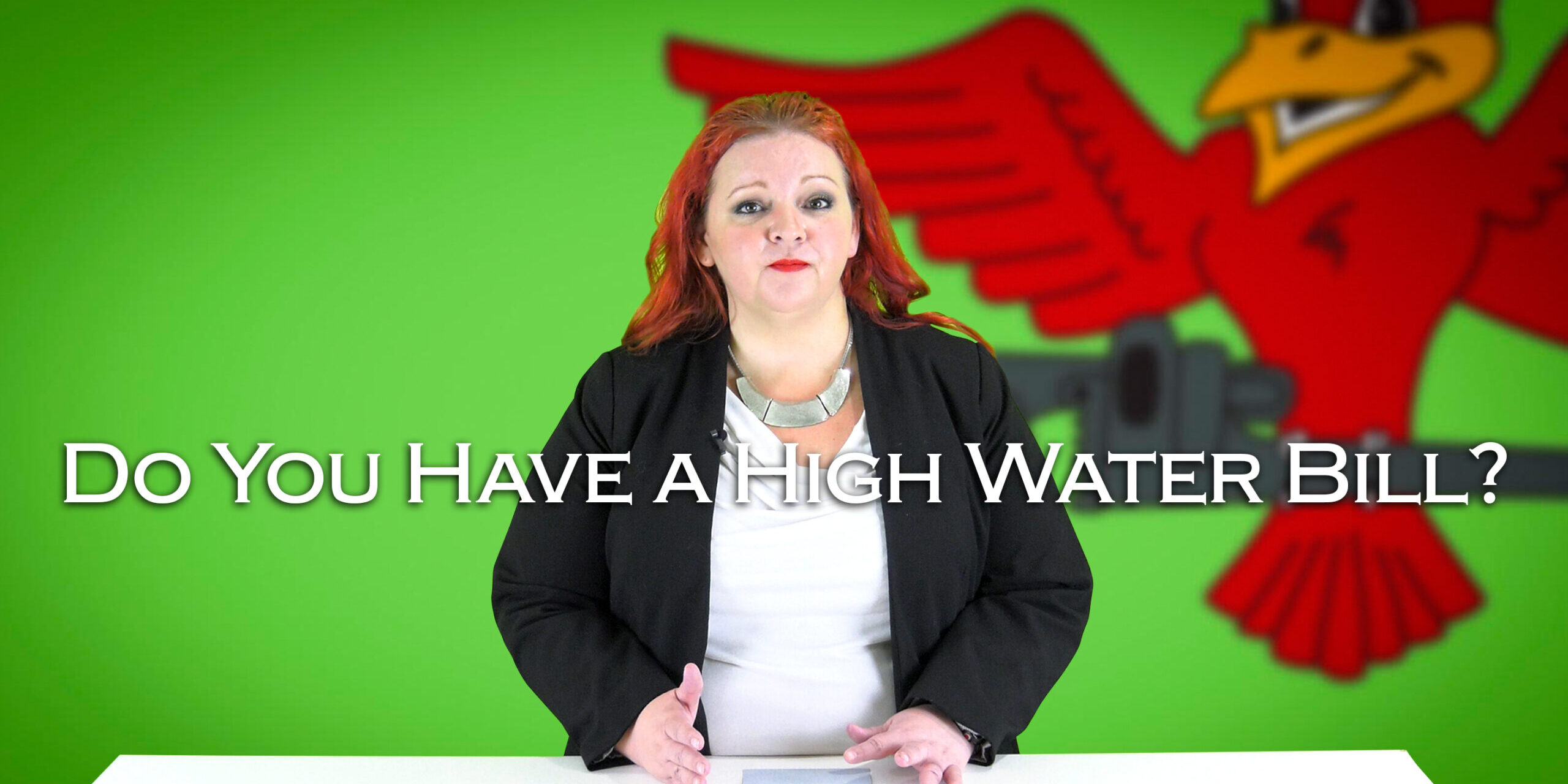 Do-You-Have-a-High-Water-Bill