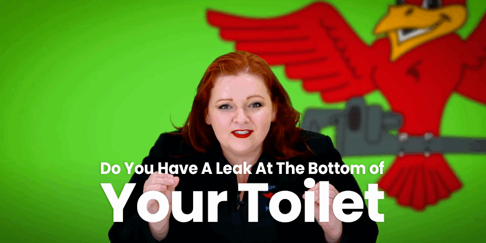 The thumbnail for Robins Plumbing blog titled do you have a leak at the bottom of your toilet.