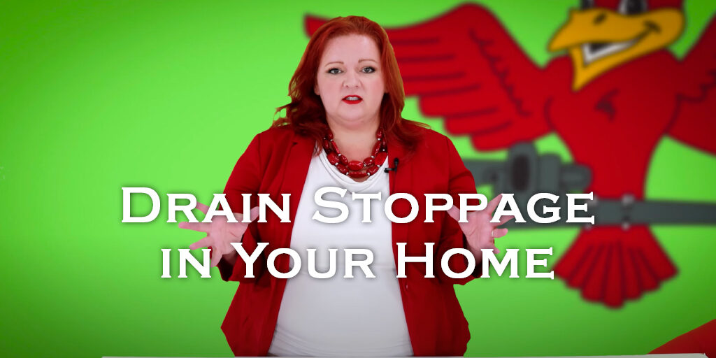 Owner of Robins Plumbing, Stephanie Robins with titled blog drain stoppage in your home