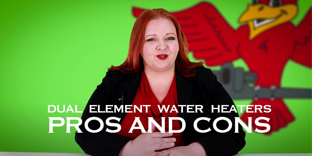 The thumbnail for the blog titled "dual element water heaters pros and cons" written by the owner of Robins Plumbing Stephanie Robins.