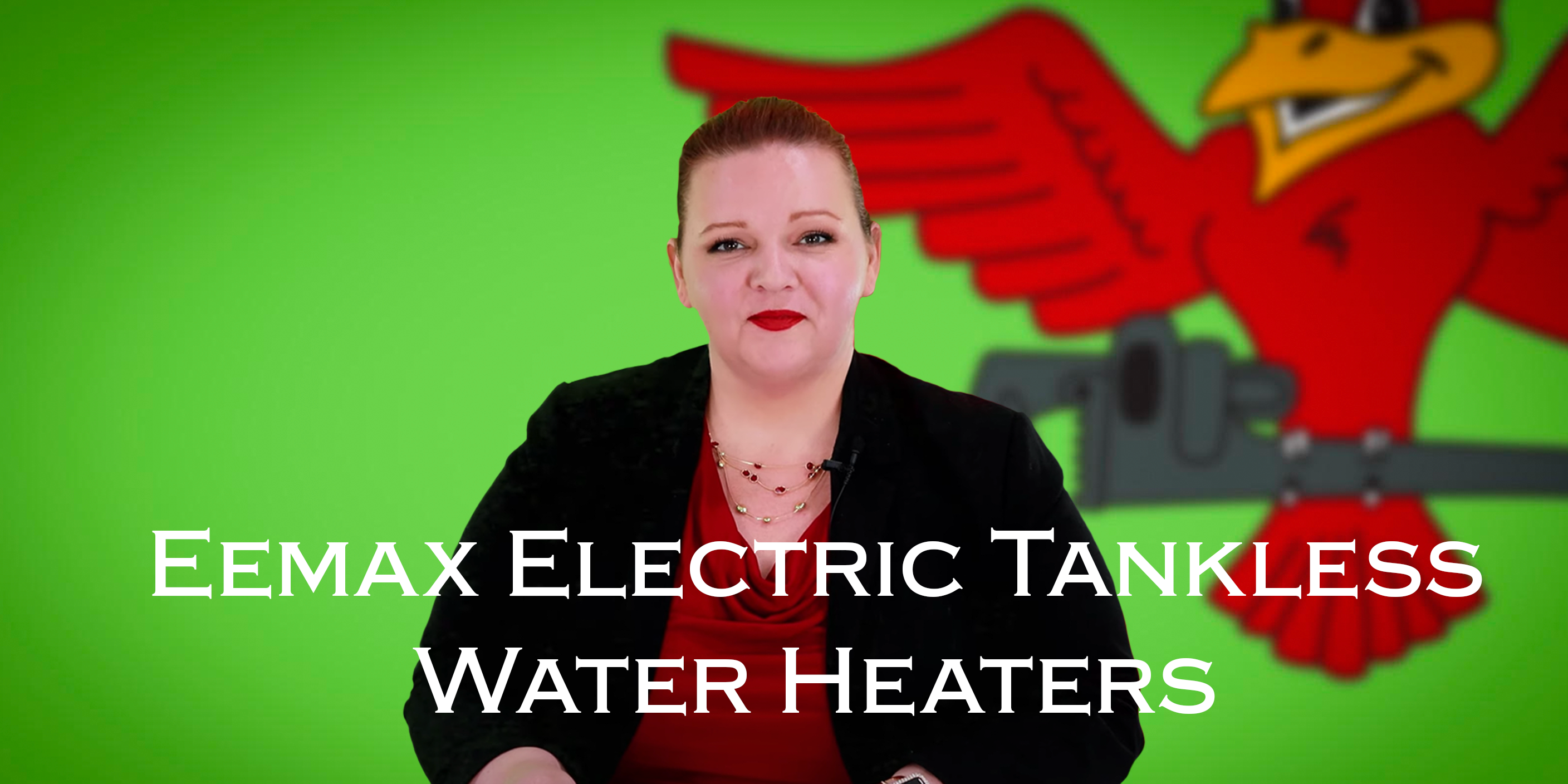 Robins Plumbing featured image for the blog Eemax-Electric-Tankless-Water-Heaters