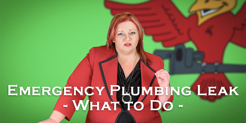 Stephanie Robins, owner of Robins Plumbing with featured blog titled emergency plumbing leak what to do.