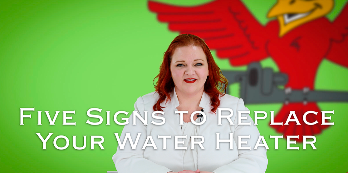 Owner of Robins Plumbing, Stephanie Robins with featured blog titled 'Five signs to replace your water heater'