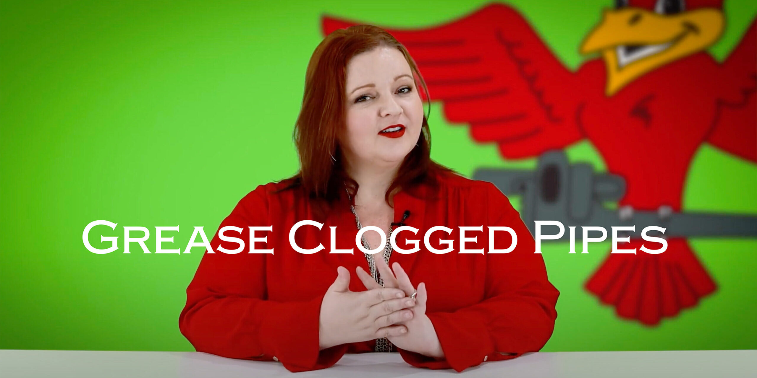 The owner of Robins Plumbing, Stephanie Robins blog titled grease clogged pipes