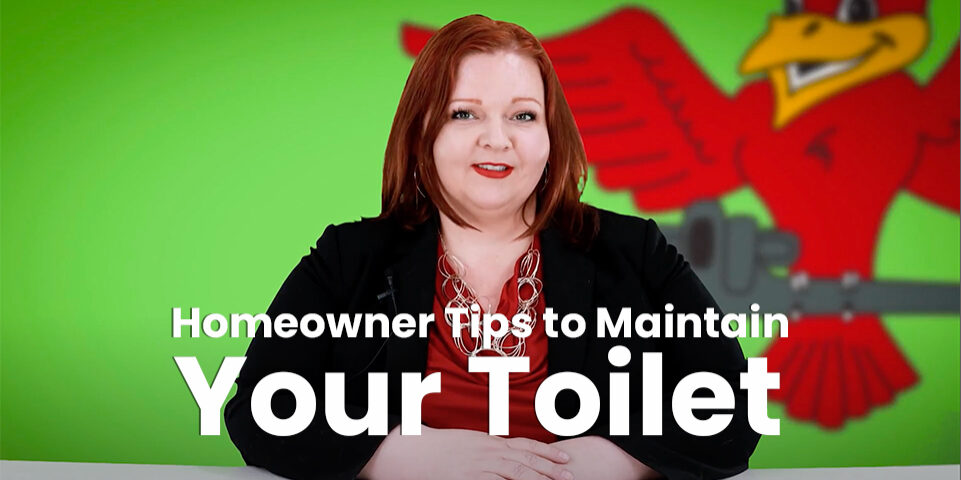 The thumbnail for Robins Plumbing blog titled "homeowner tips to maintain your toilet" written by the owner of Robins Plumbing, Stephanie Robins.