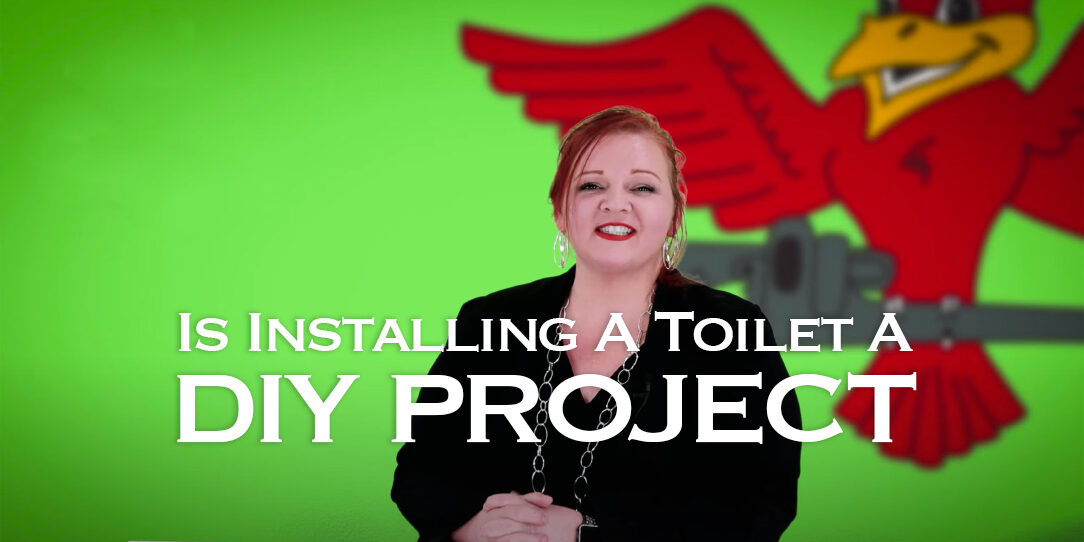 The thumbnail for Robins Plumbing blog titled "Is installing a toilet a DIY project"