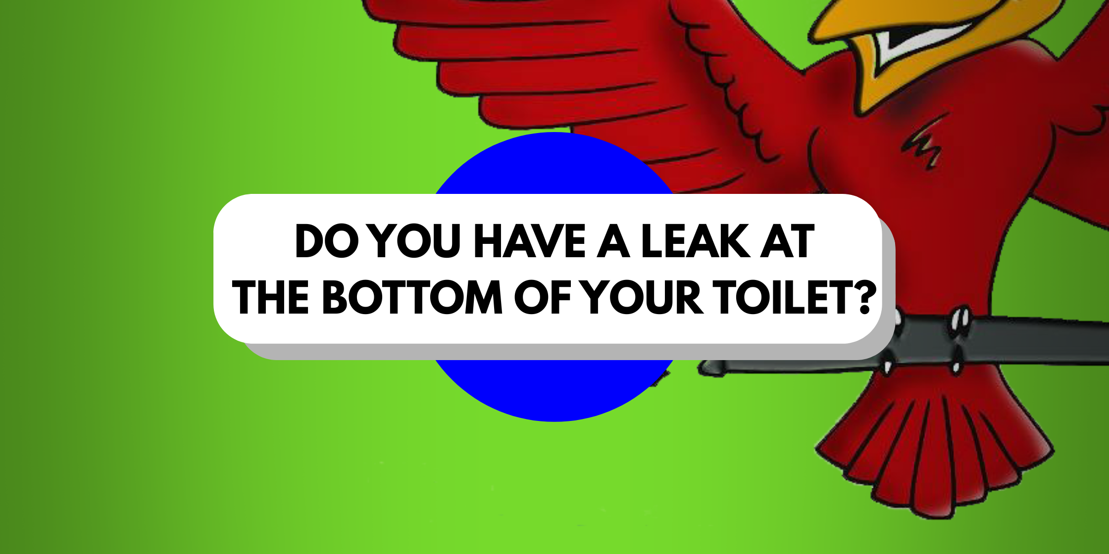 Graphic asking ‘Do you have a leak at the bottom of your toilet?’ illustrating a common toilet base leak issue homeowners face.