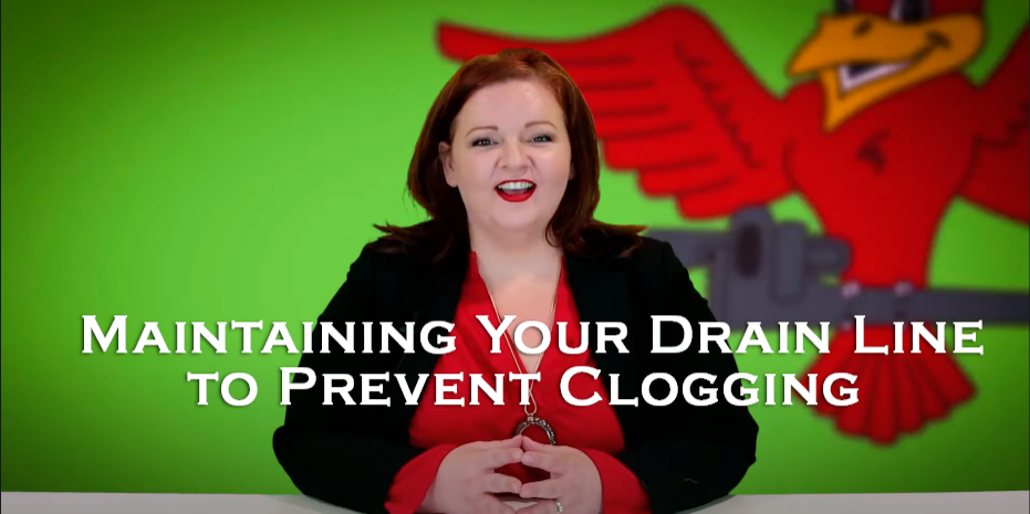 Robins Plumbing owner, Stephanie Robins with featured blog titled 'maintaining-your-drain-line-to-prevent-clogging'