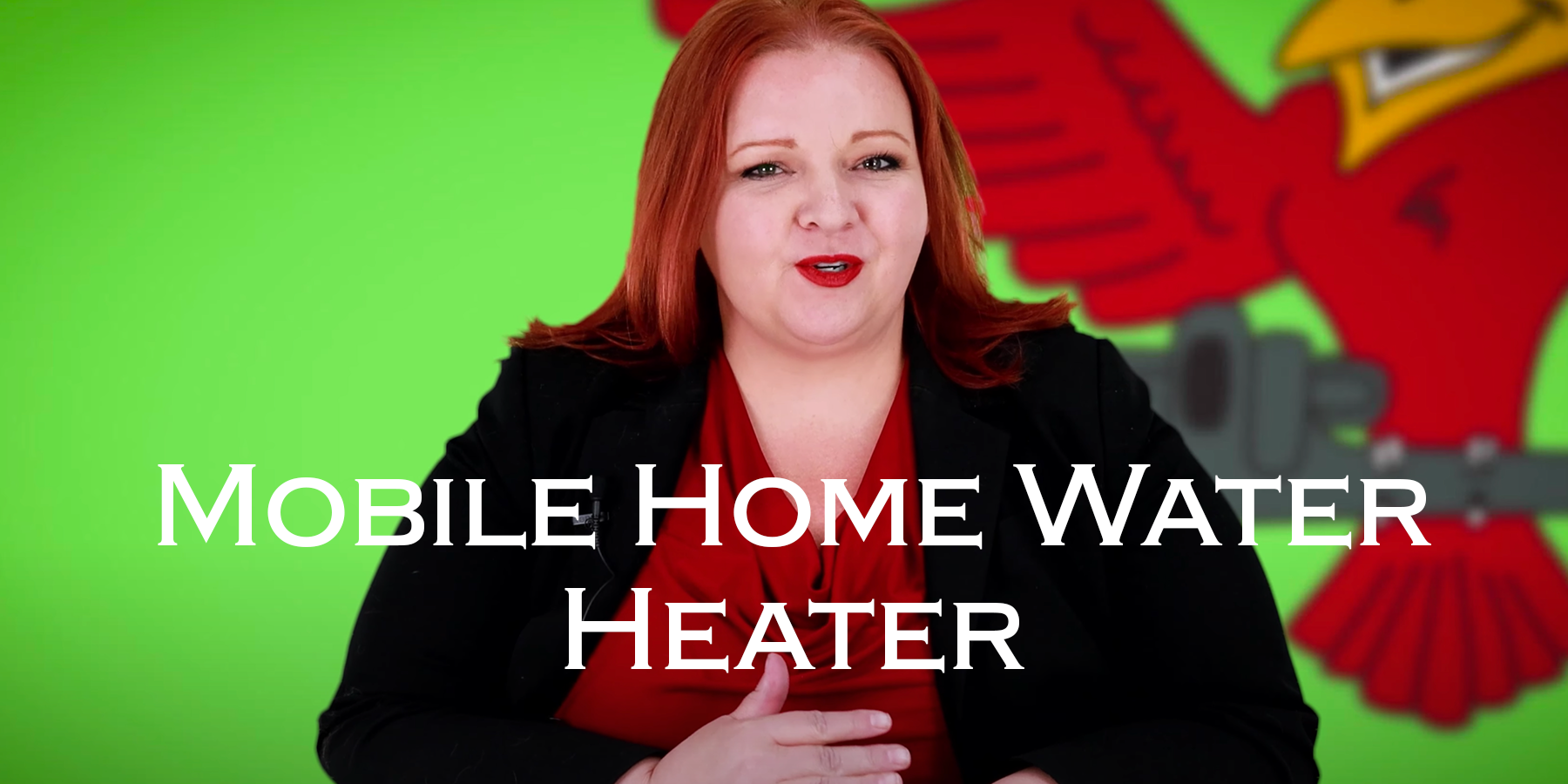 Featured image for Robins Plumbing blog titled "Mobile-Home-Water-Heater"