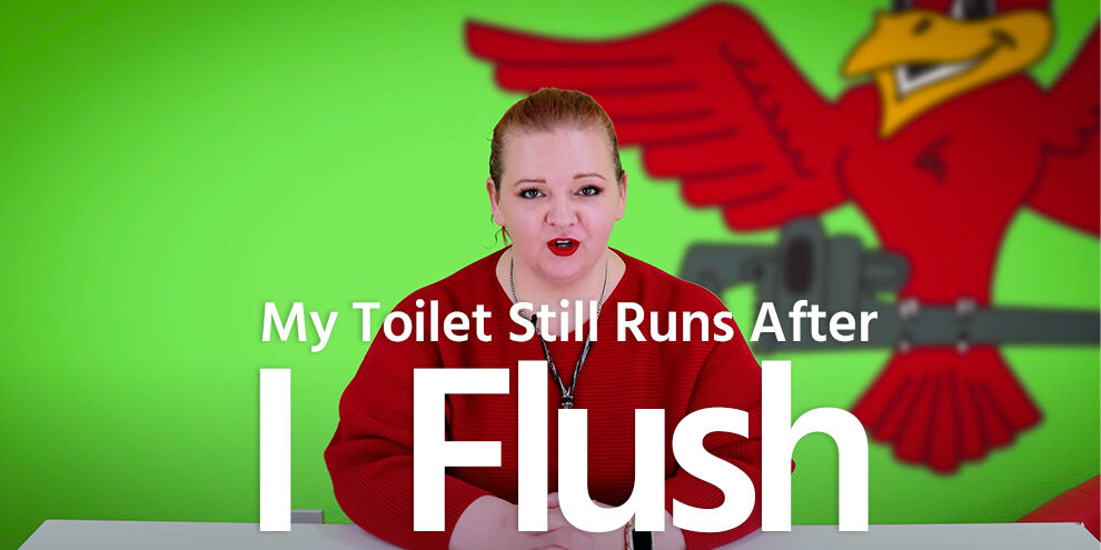 The thumbnail image for the blog titled "my toilet still runs after I