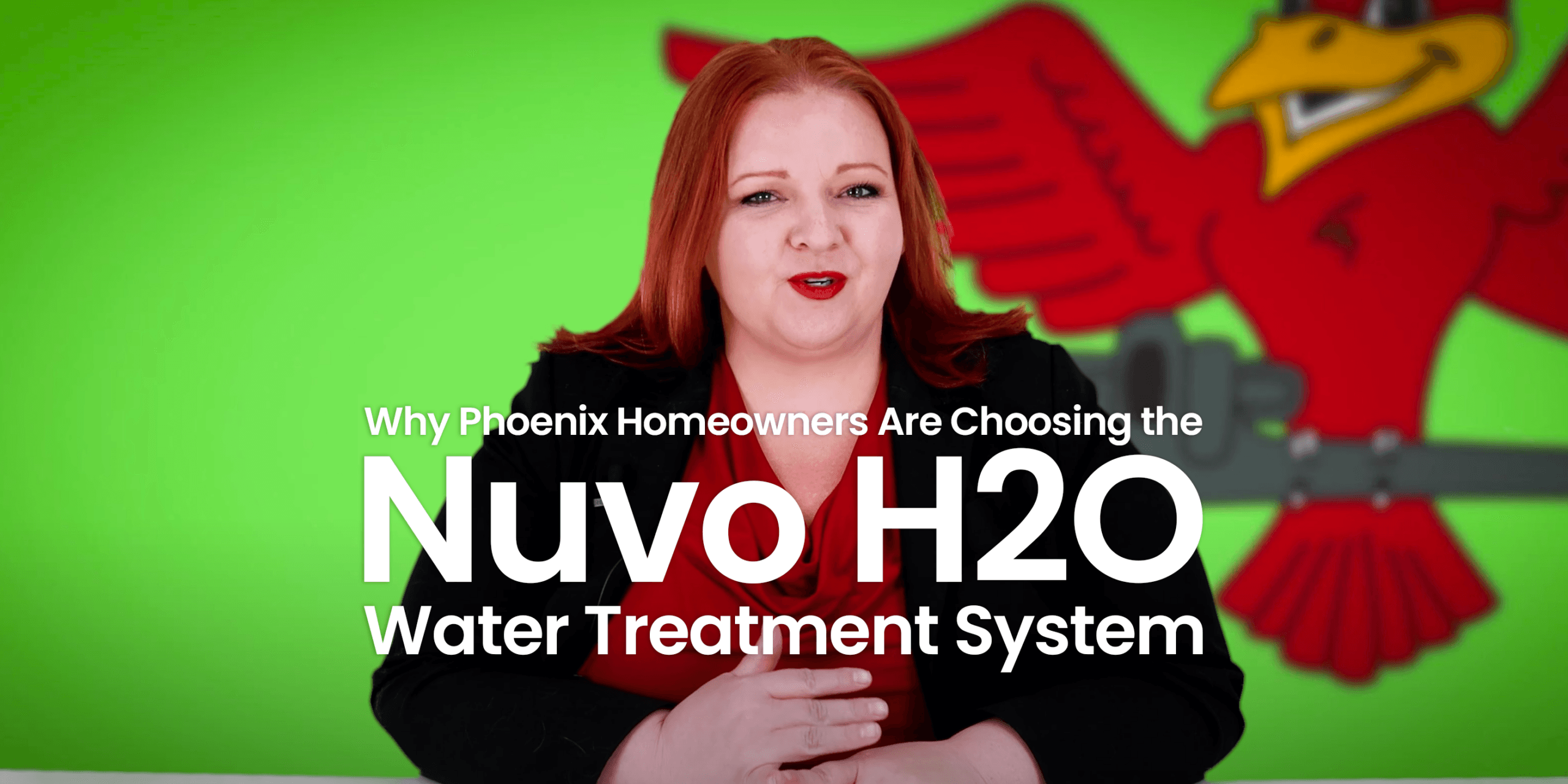 The thumbnail for Robins Plumbing blog titled "Nuvo H2O Water Treatment System" written by the owner of Robins Plumbing Stephanie Robins.