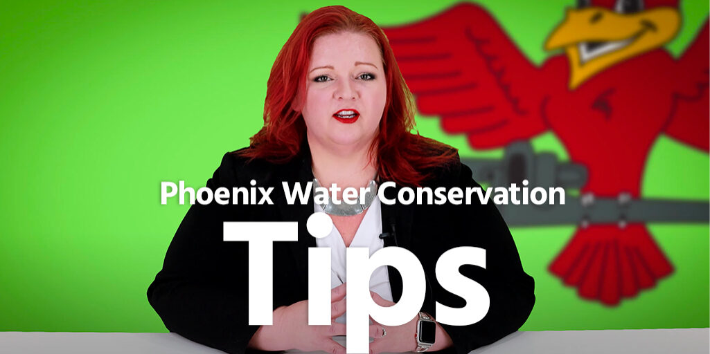 Phoenix-water-conservation-tips