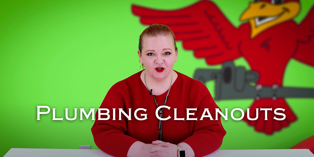 Owner of Robins Plumbing, Stephanie Robins and featured blog titled "plumbing cleanouts phoenix"