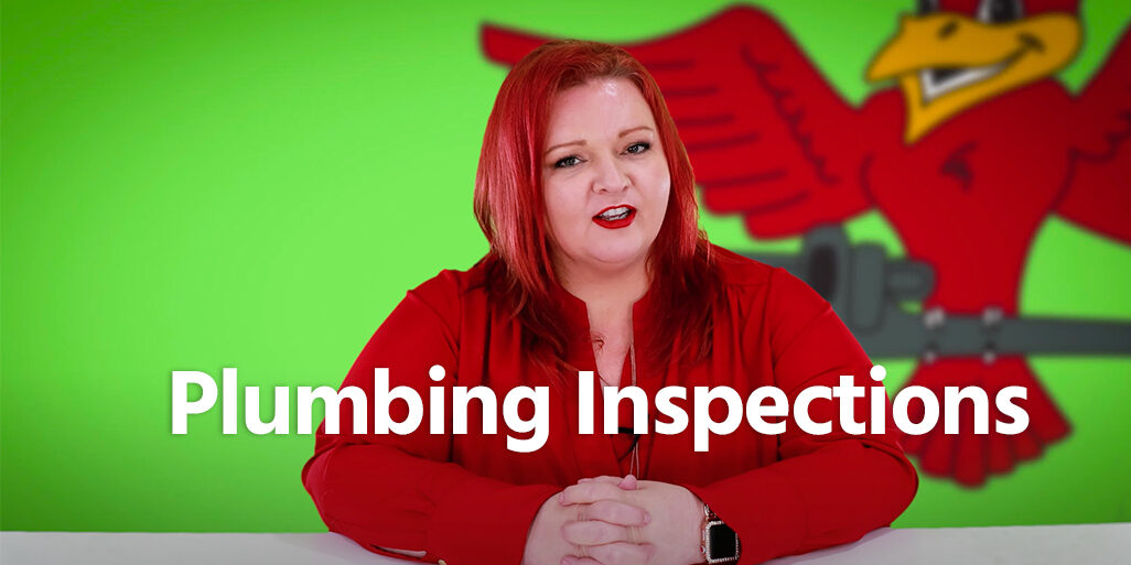 The thumbnail for Robins Plumbing blog titled plumbing inspections written by Stephanie Robins.