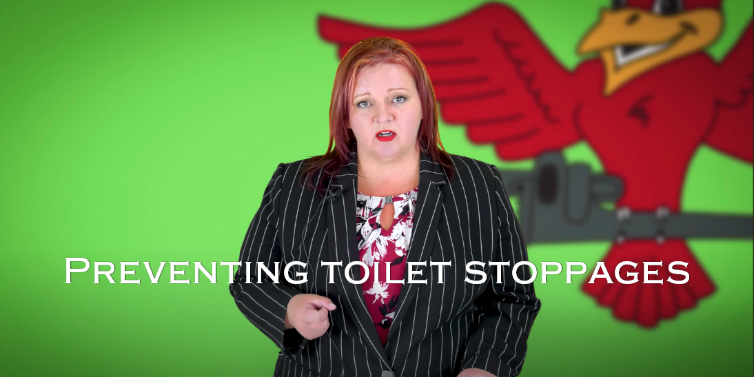 Stephanie Robins, the owner of Robins Plumbing with featured blog titled preventing toilet stoppages
