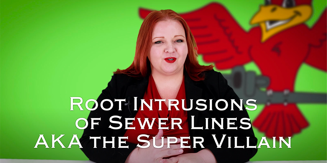 The owner of Robins Plumbing, Stephanie Robins with her featured blog titled 'Root Intrusions of Sewer Lines aka the super villain.