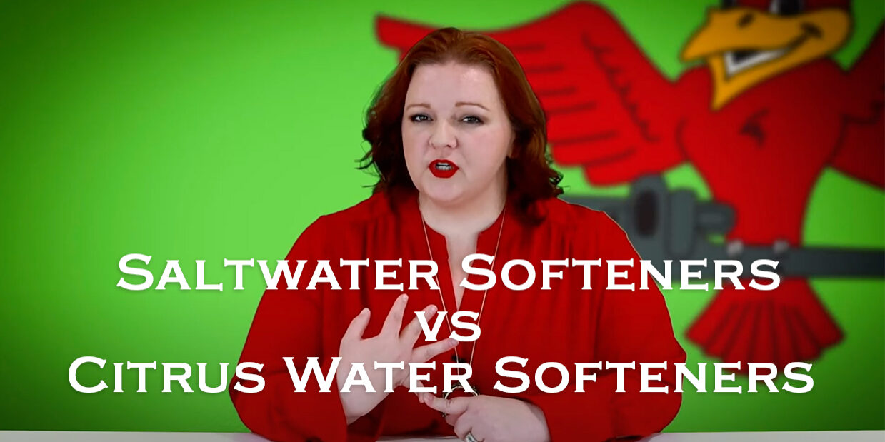 Owner of Robins Plumbing, Stephanie Robins featuring titled blog 'salt water softeners vs citrus water softeners'