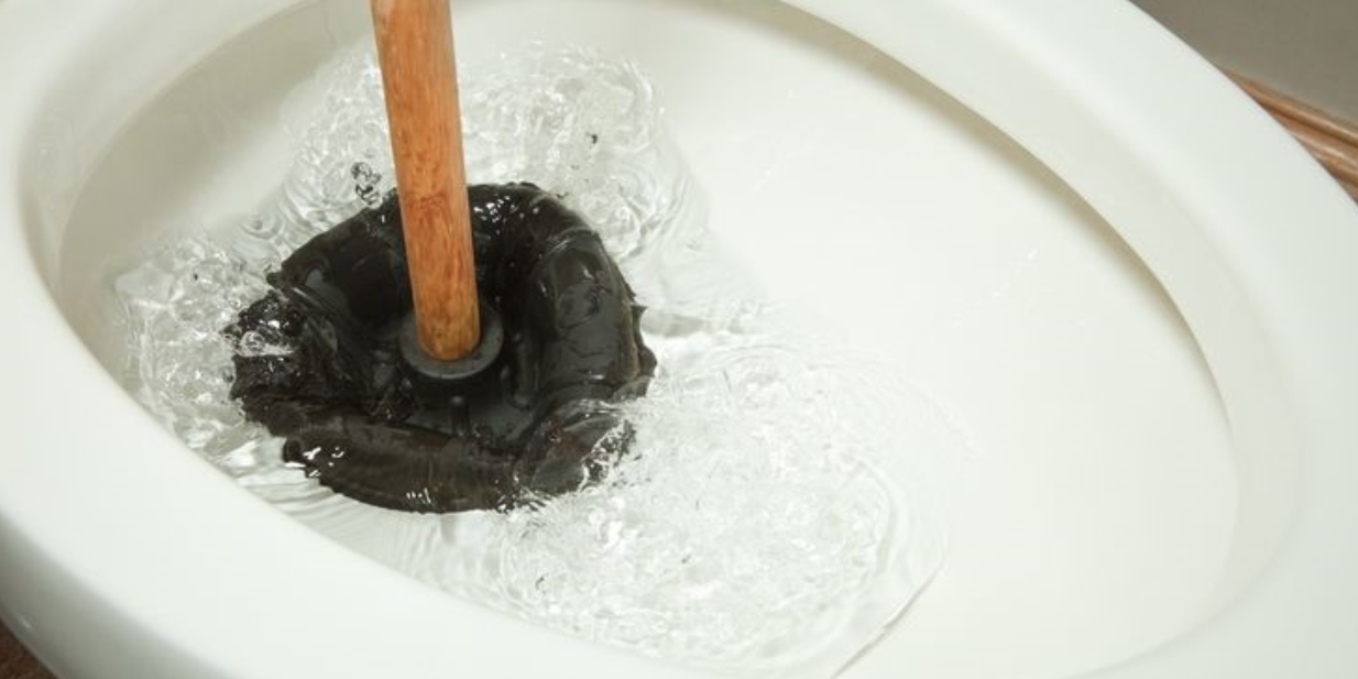 Plunger in a toilet for blog and video "Are You Plunging Your Toilet?"