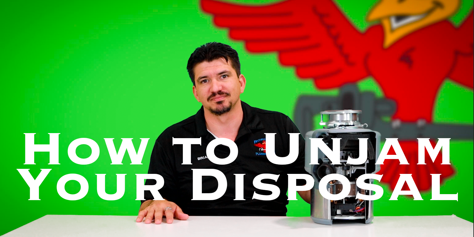 Cover photo for blog and video "How to Unjam Your Garbage Disposal"
