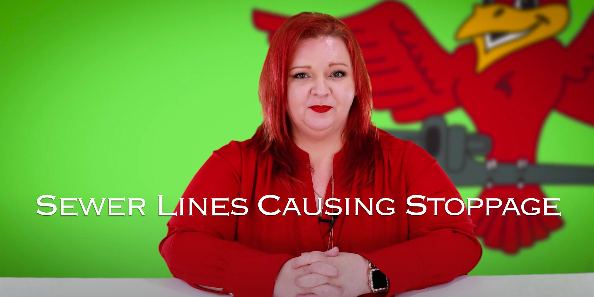 Robins Plumbing featuring blog Sewer lines causing stoppages, with owner Stephanie Robins.