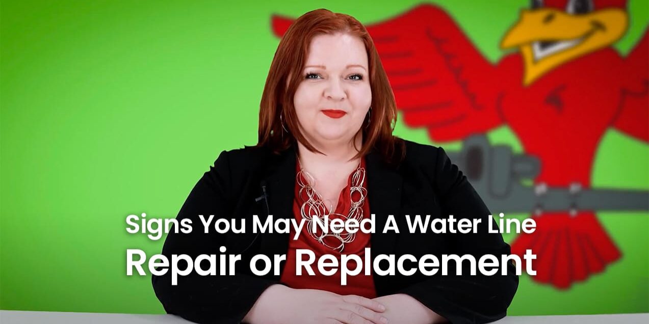 The thumbnail for the blog titled signs you may need a water line repair or replacement written by the owner Stephanie Robins