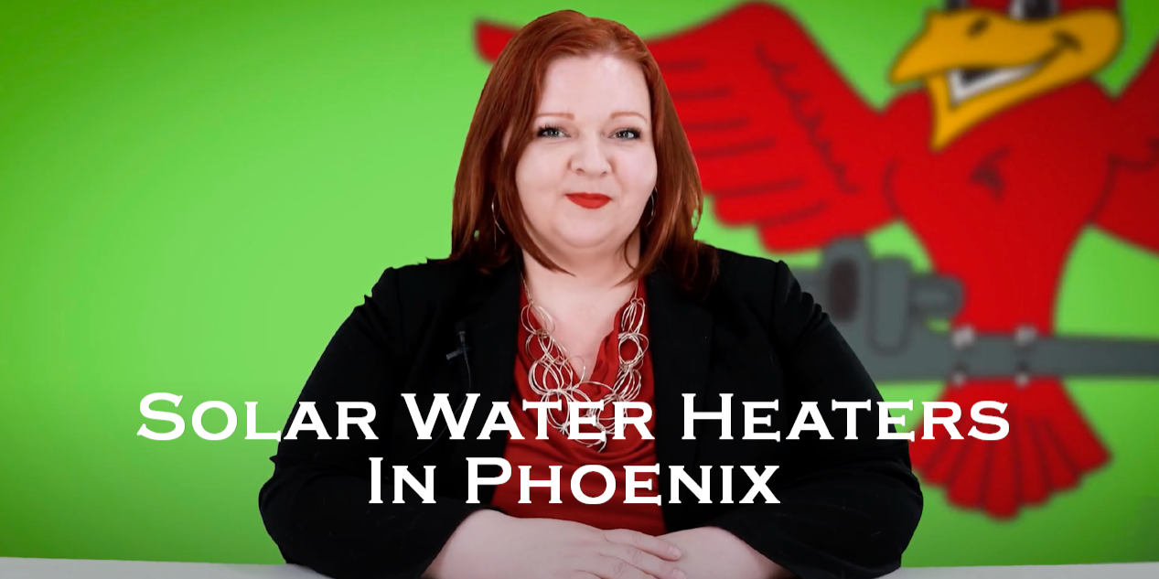 Stephanie Robins, owner of Robins Plumbing with featured blog titled Solar water heaters in phoenix robins plumbing
