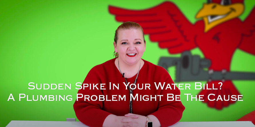 Owner of Robins Plumbing, Stephanie Robins with featured blog titled "Sudden-Spike-In-Your-Water-Bill-A-Plumbing-Problem-Might-Be-The-Problem"