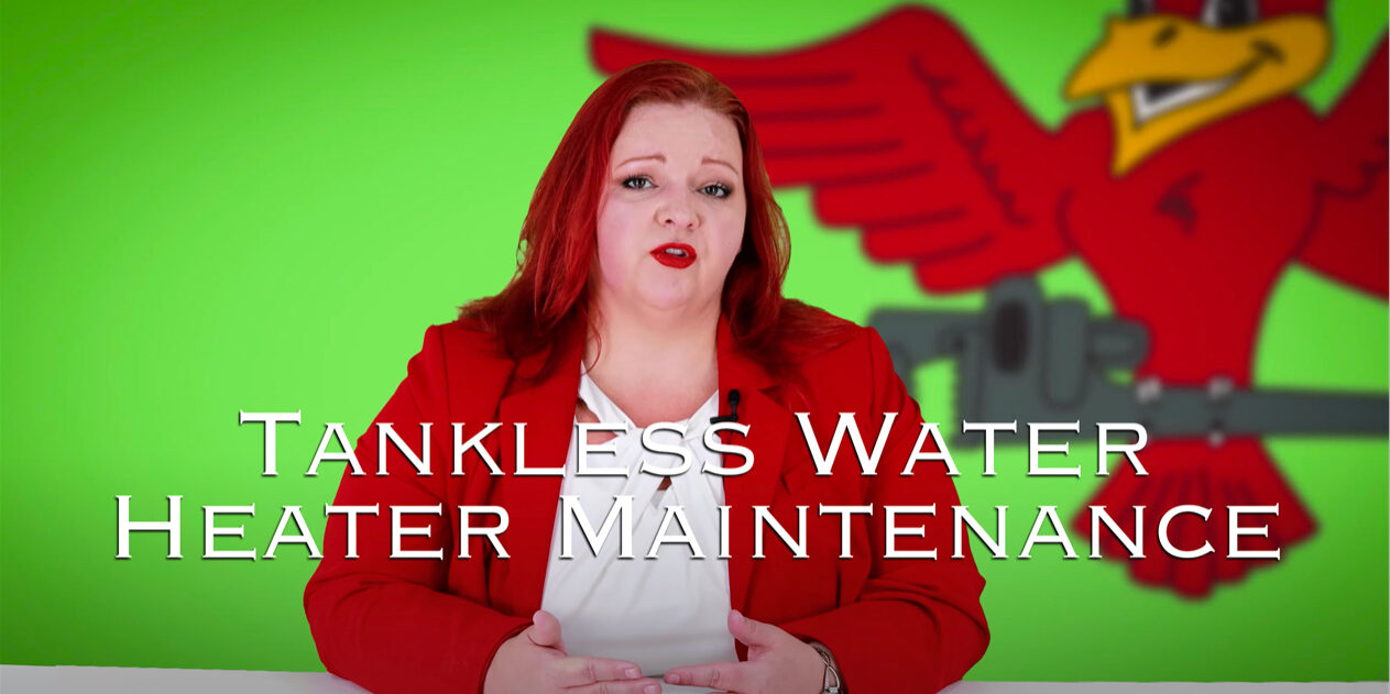 Stephanie Robins, the owner of Robins Plumbing with featured blog titled Tankless water heater maintenance.