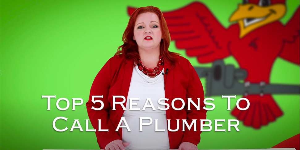 Owner of Robins Plumbing, Stephanie Robins featuring titled blog top-5-reasons-to-call-a-plumber