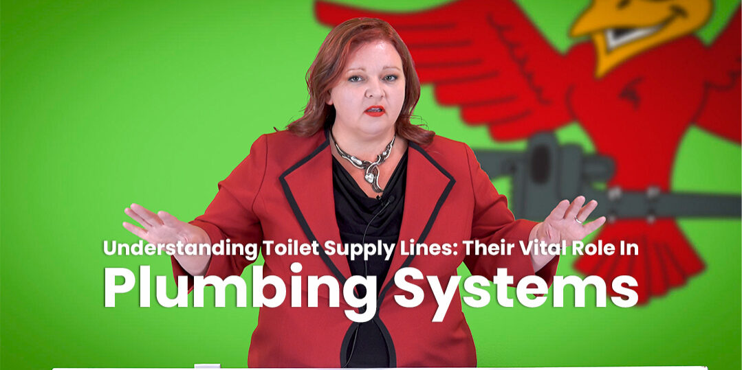 The thumbnail for Robins Plumbing blog titled "understanding toilet supply lines their vital role in"
