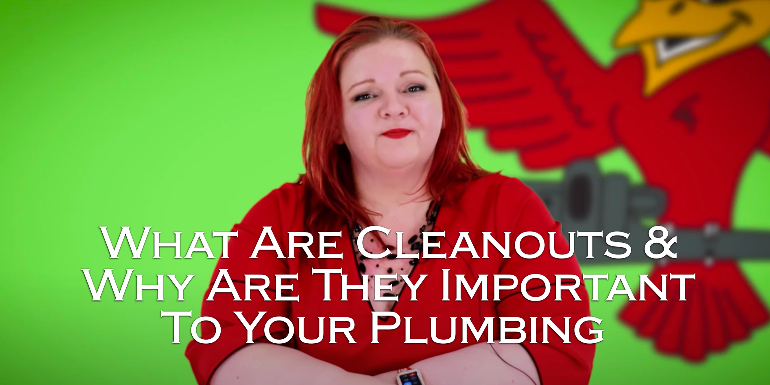 Robins Plumbing owner Stephanie Robins presenting the blog titled what are cleanouts why are they important to your plumbing system