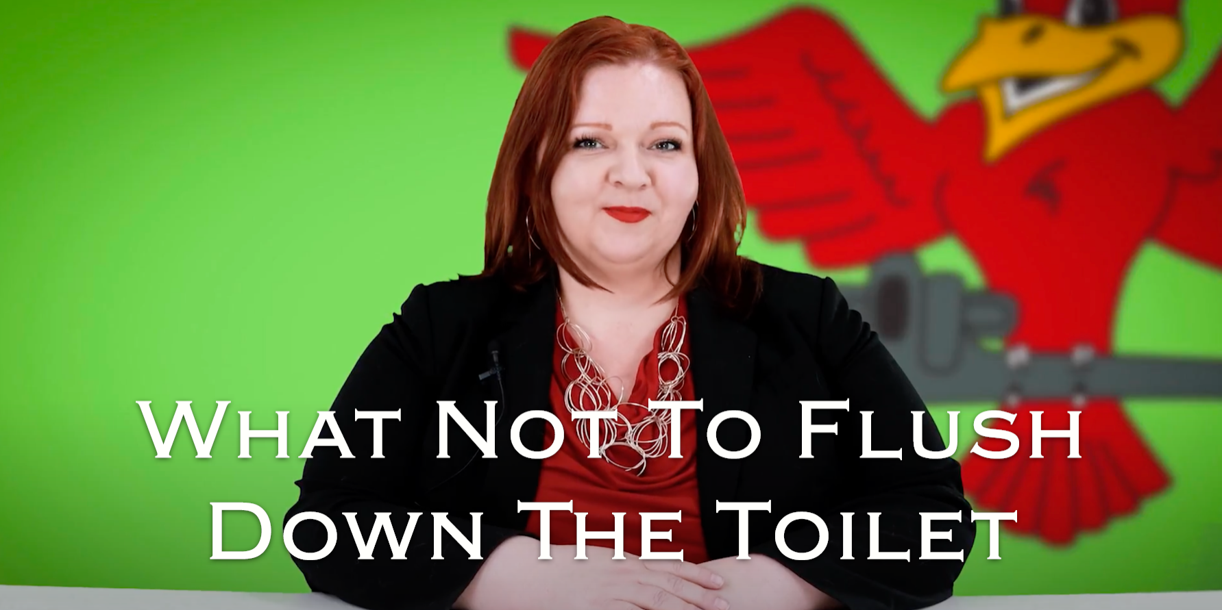 Owner of Robins Plumbing, Stephanie Robins with featured blog titled 'what not to flush down the toilet'.